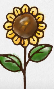 ❥𓂃𓏧 june birthday sunflower