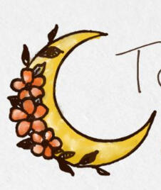 ❥𓂃𓏧 june birthday moon