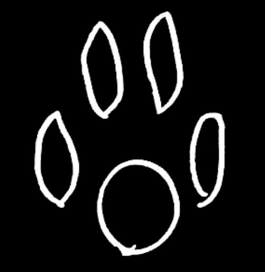 ❥𓂃𓏧 go in blind campaign