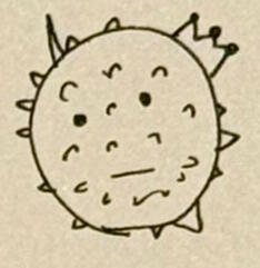 ❥𓂃𓏧 k's planet